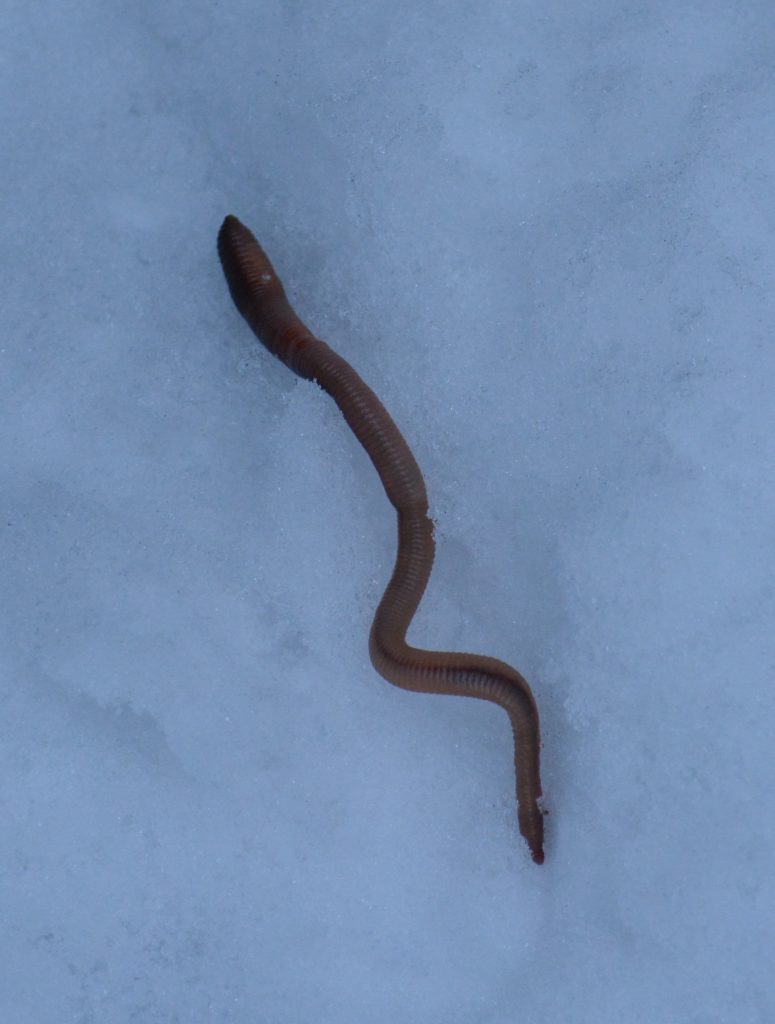 Valokuvaaja: Noora Andersson