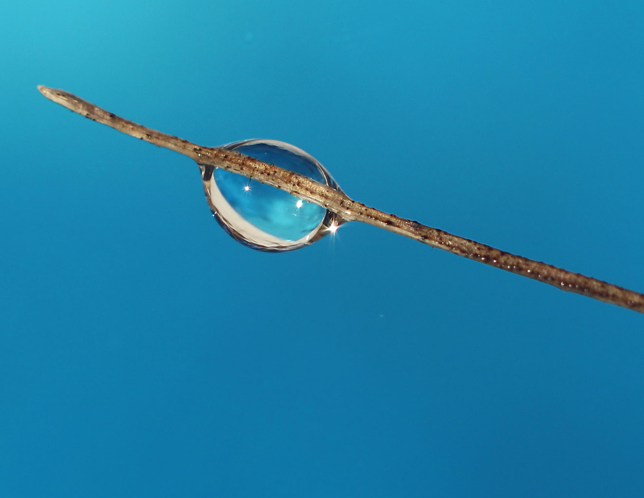 Valokuvaaja: Tarja Porkkala