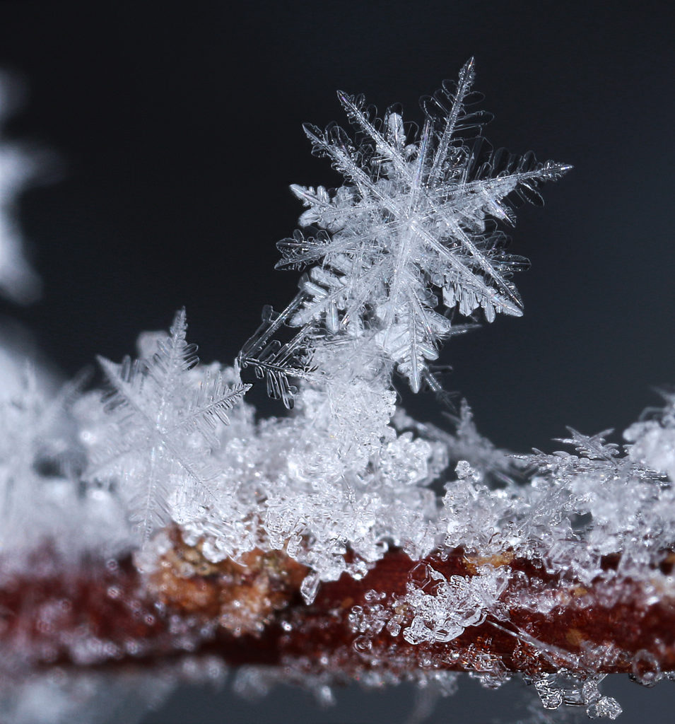 Valokuvaaja: Tarja Porkkala