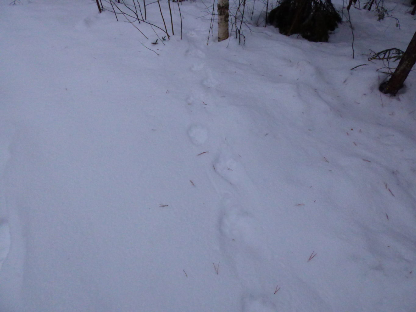 Valokuvaaja: Hannu Rissanen