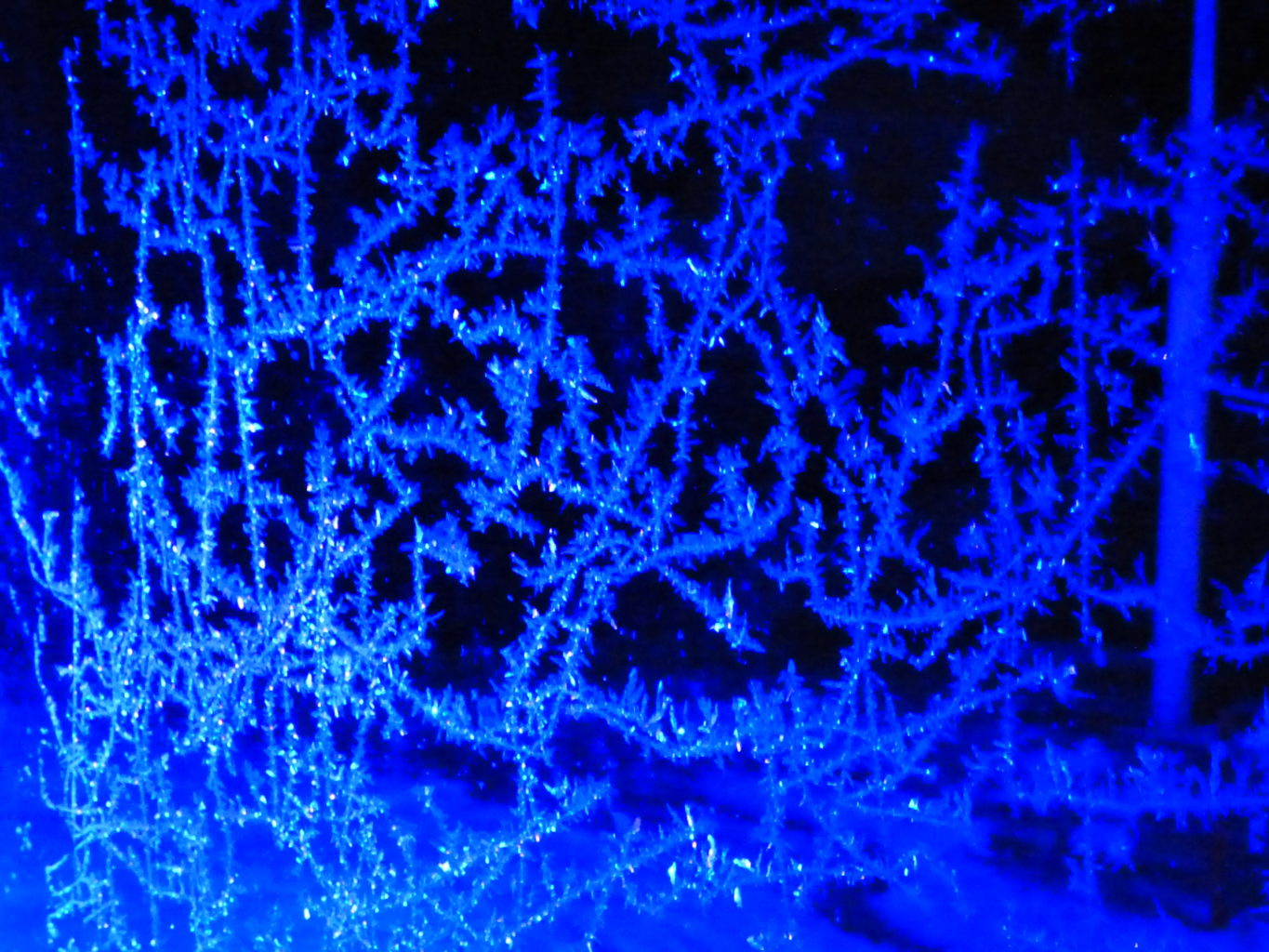 Valokuvaaja: hannu rissanen Valokuvaaja: hannu rissanen