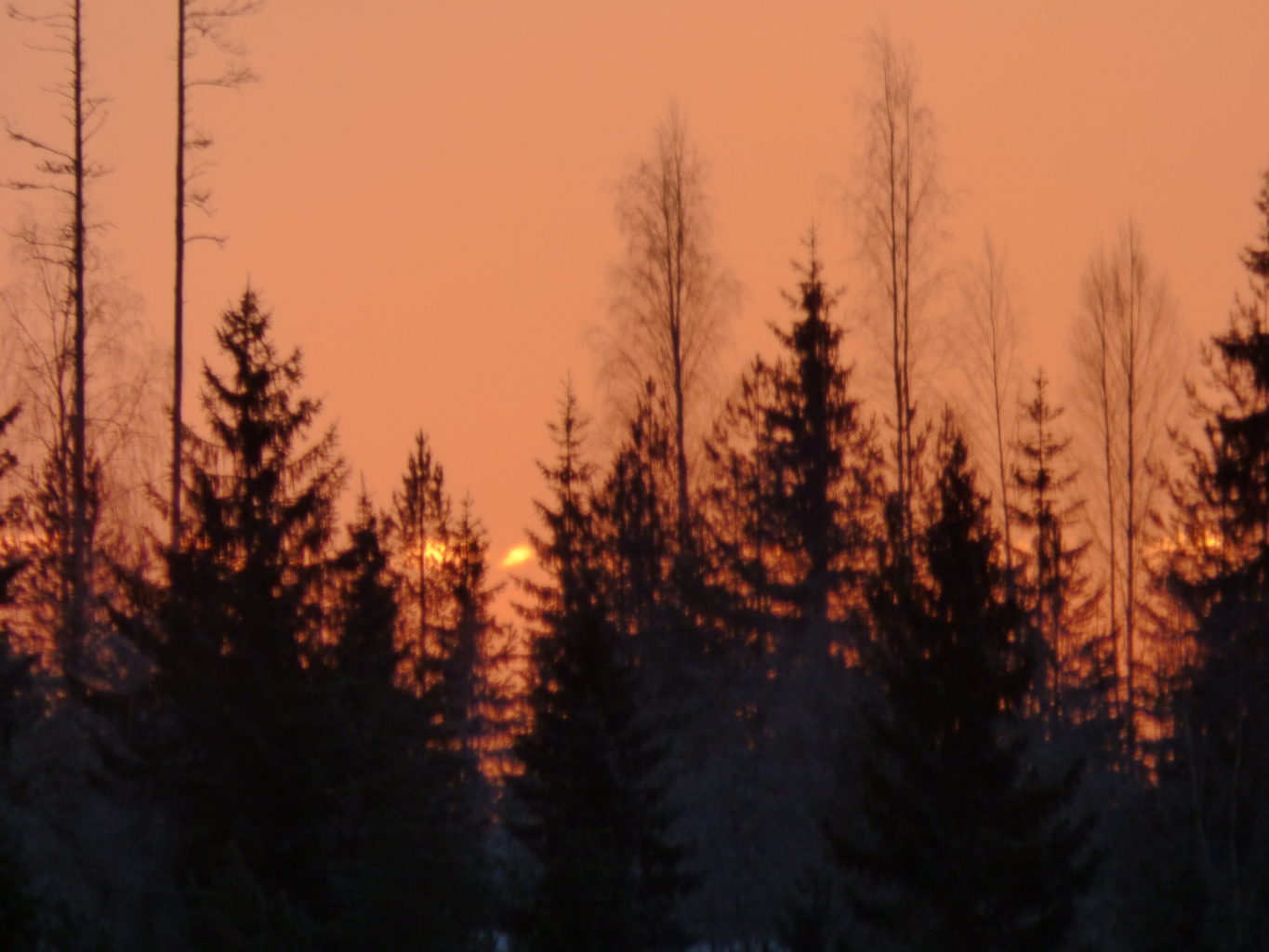 Valokuvaaja: hannu rissanen Valokuvaaja: hannu rissanen