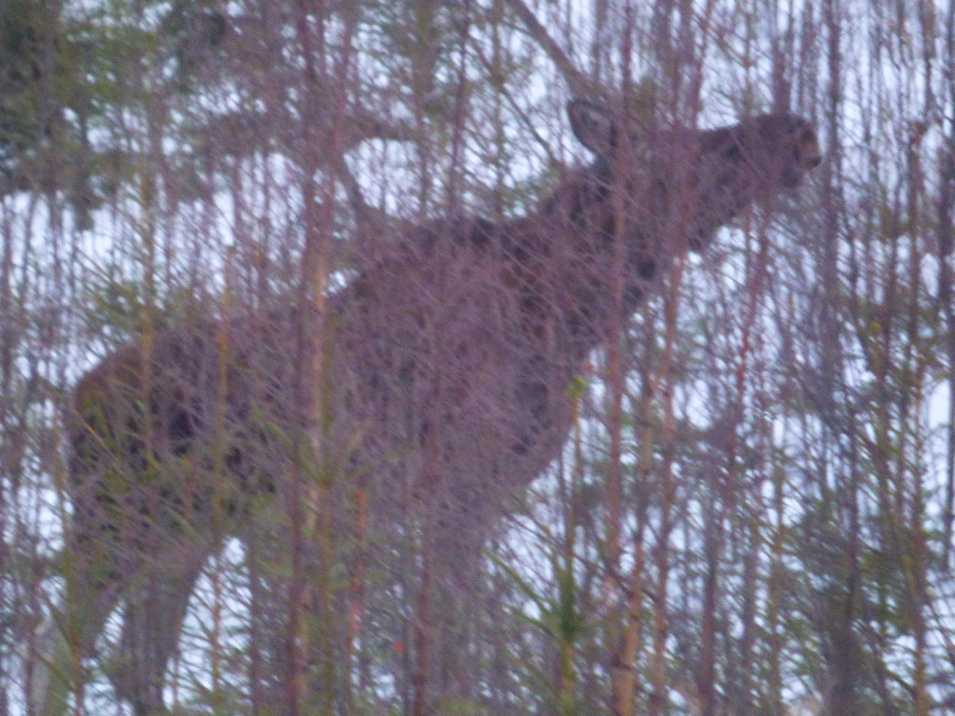Valokuvaaja: Hannu Rissanen