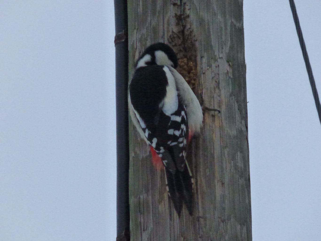 Valokuvaaja: hannu rissanen