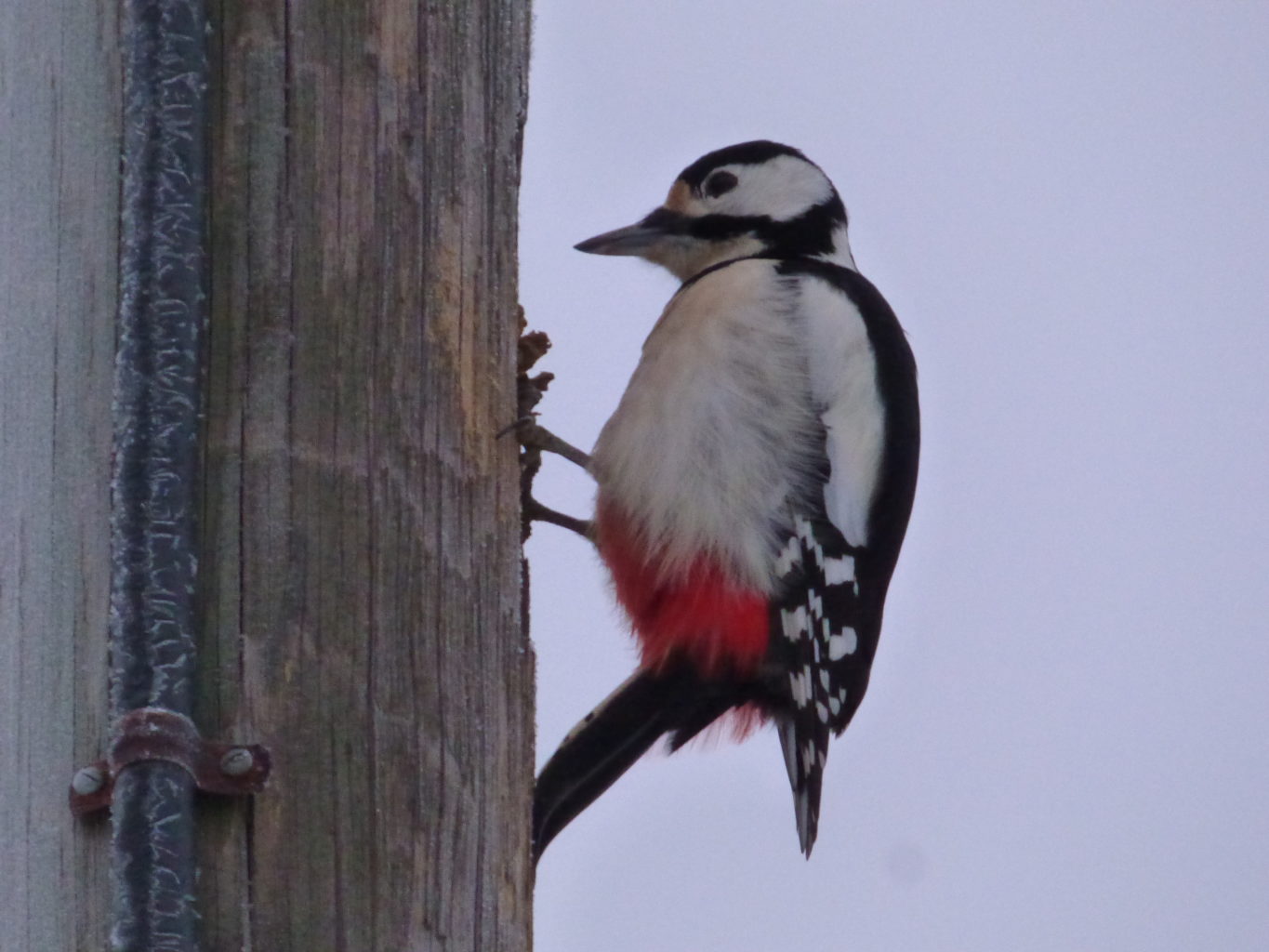 Valokuvaaja: Hannu Rissanen