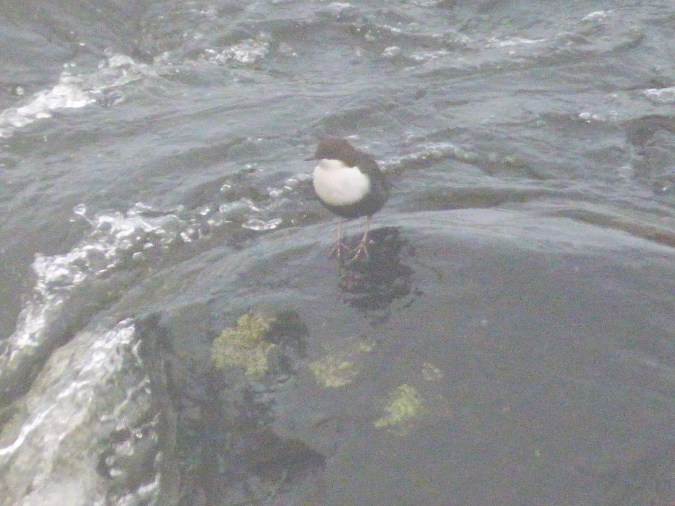 Valokuvaaja: Hannu Rissanen