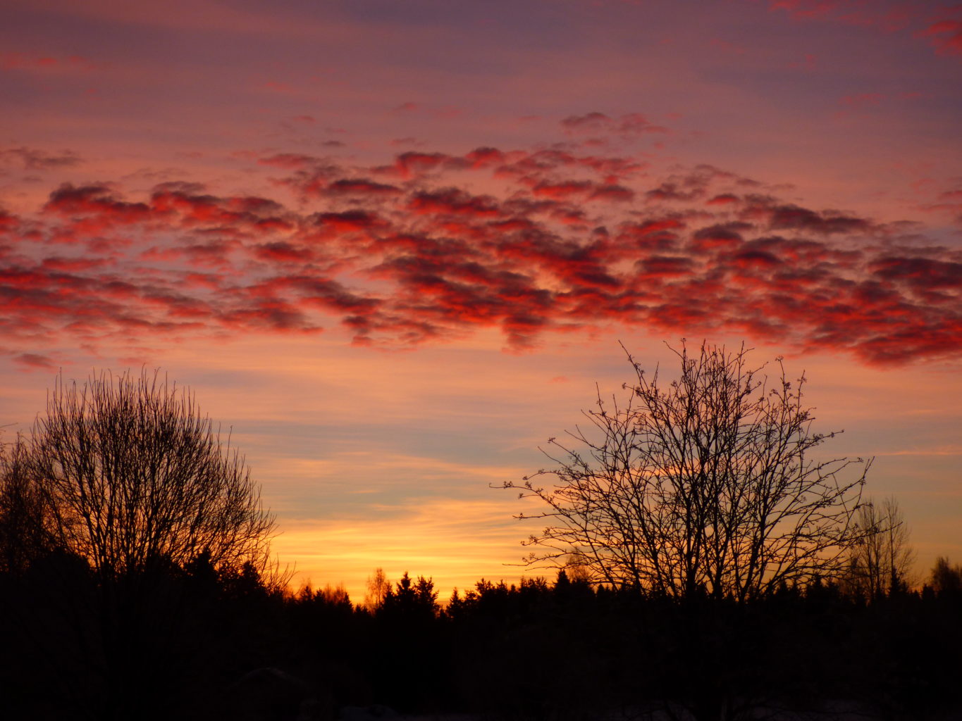 Valokuvaaja: Hannu Rissanen