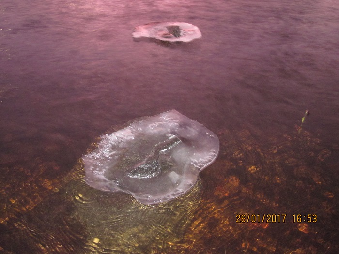 Valokuvaaja: Sirkku Viuhkonen