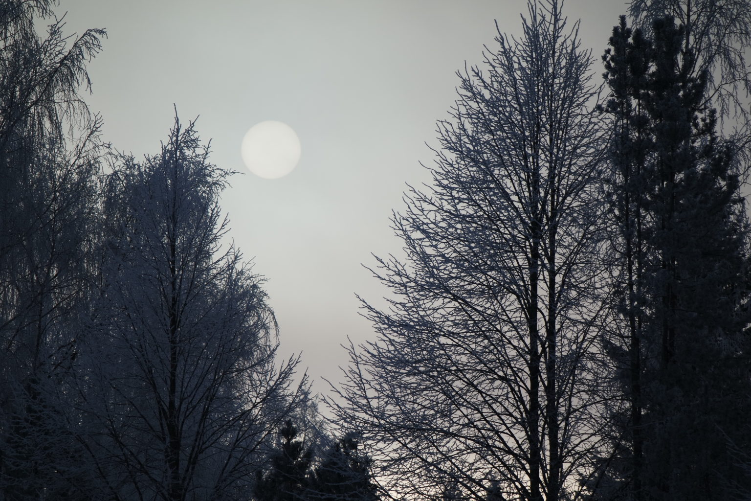 Valokuvaaja: Sirpa RInta-Kyttä Valokuvaaja: Sirpa RInta-Kyttä