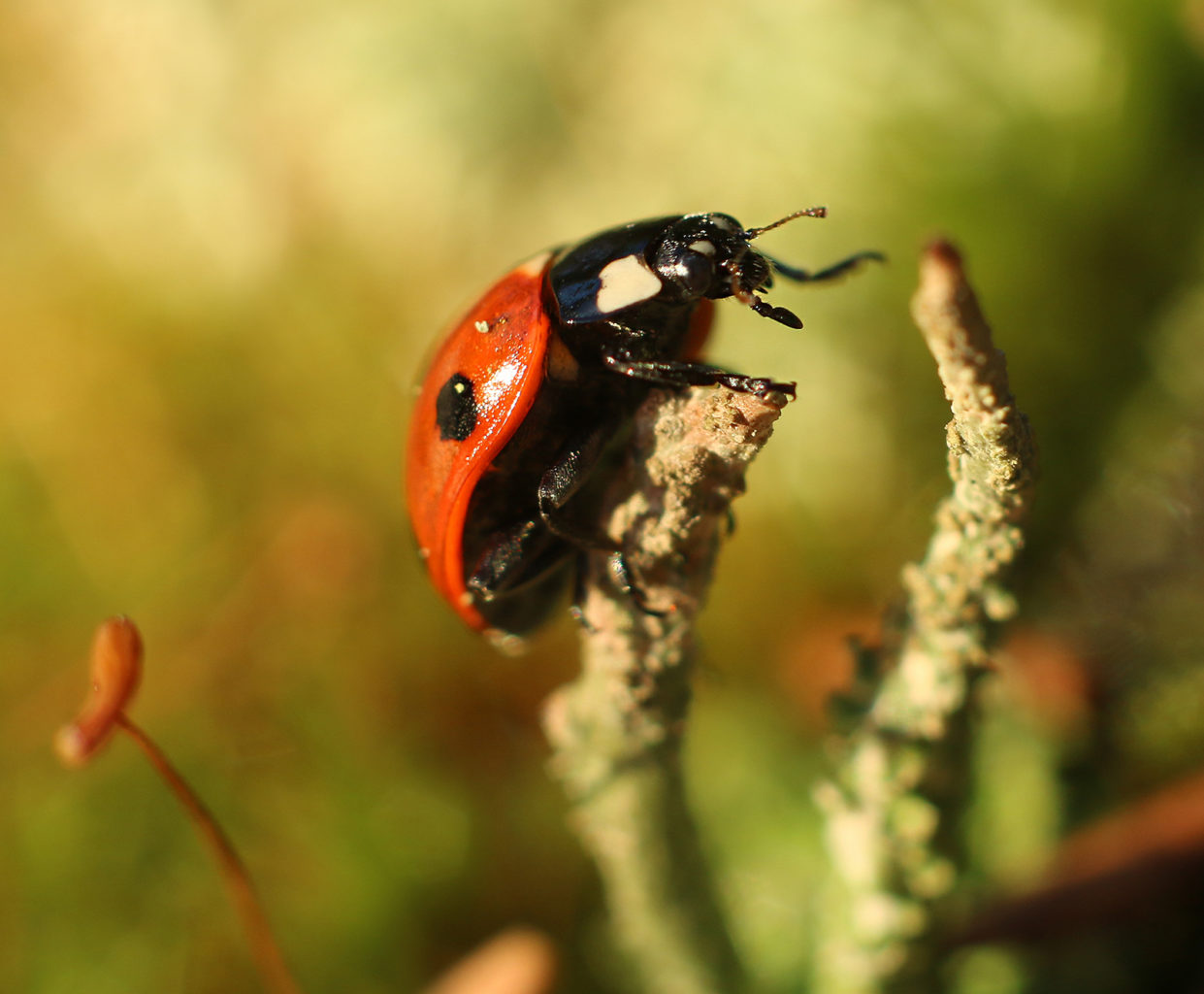 Valokuvaaja: Tarja Porkkala