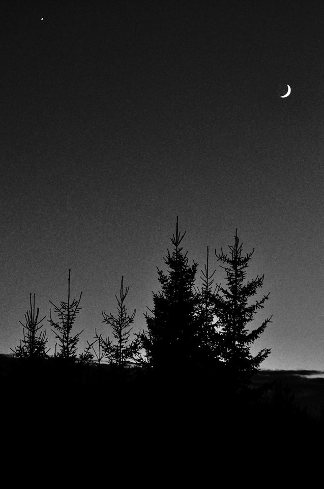 Valokuvaaja: Jenni merilä