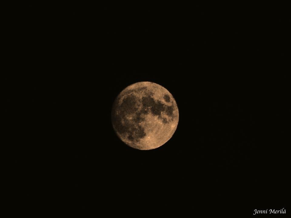 Valokuvaaja: Jenni Merilä