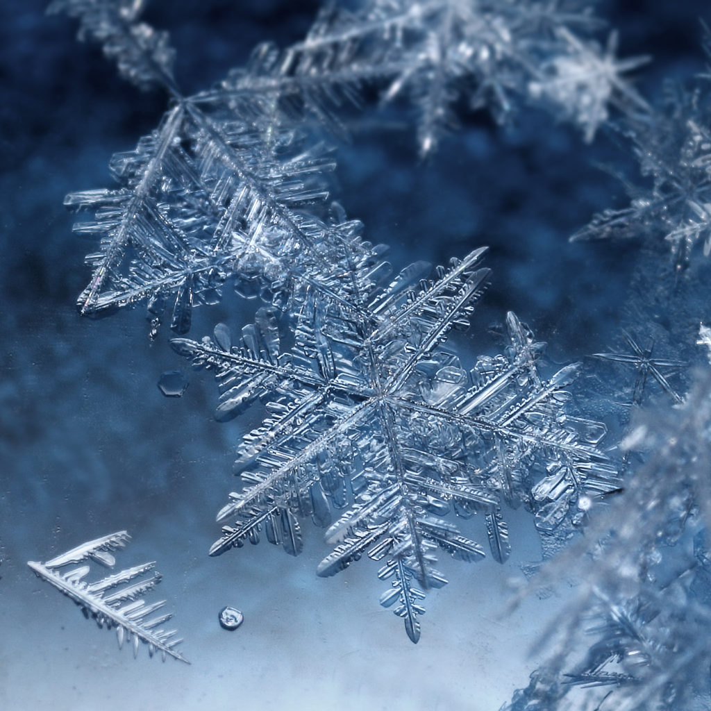 Valokuvaaja: Tarja Porkkala