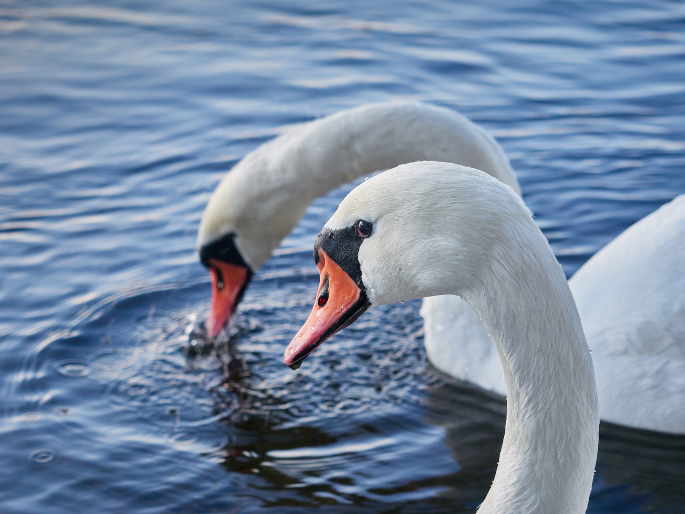 Valokuvaaja: Jone Korhonen