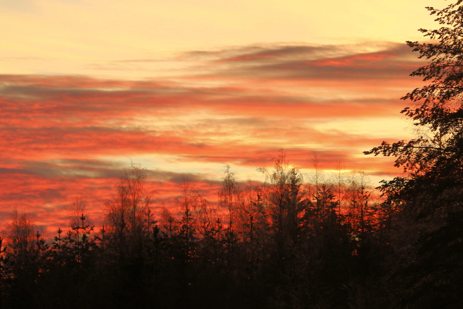 Valokuvaaja: Ahti Keränen