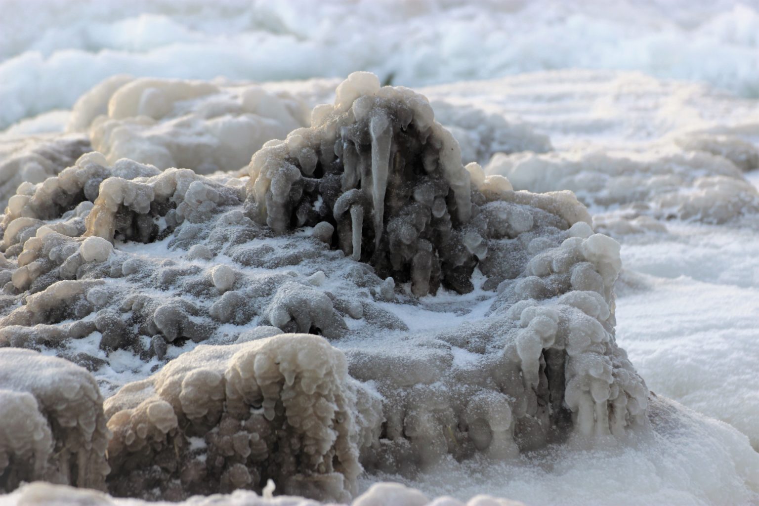 Valokuvaaja: Irja Lehtinen