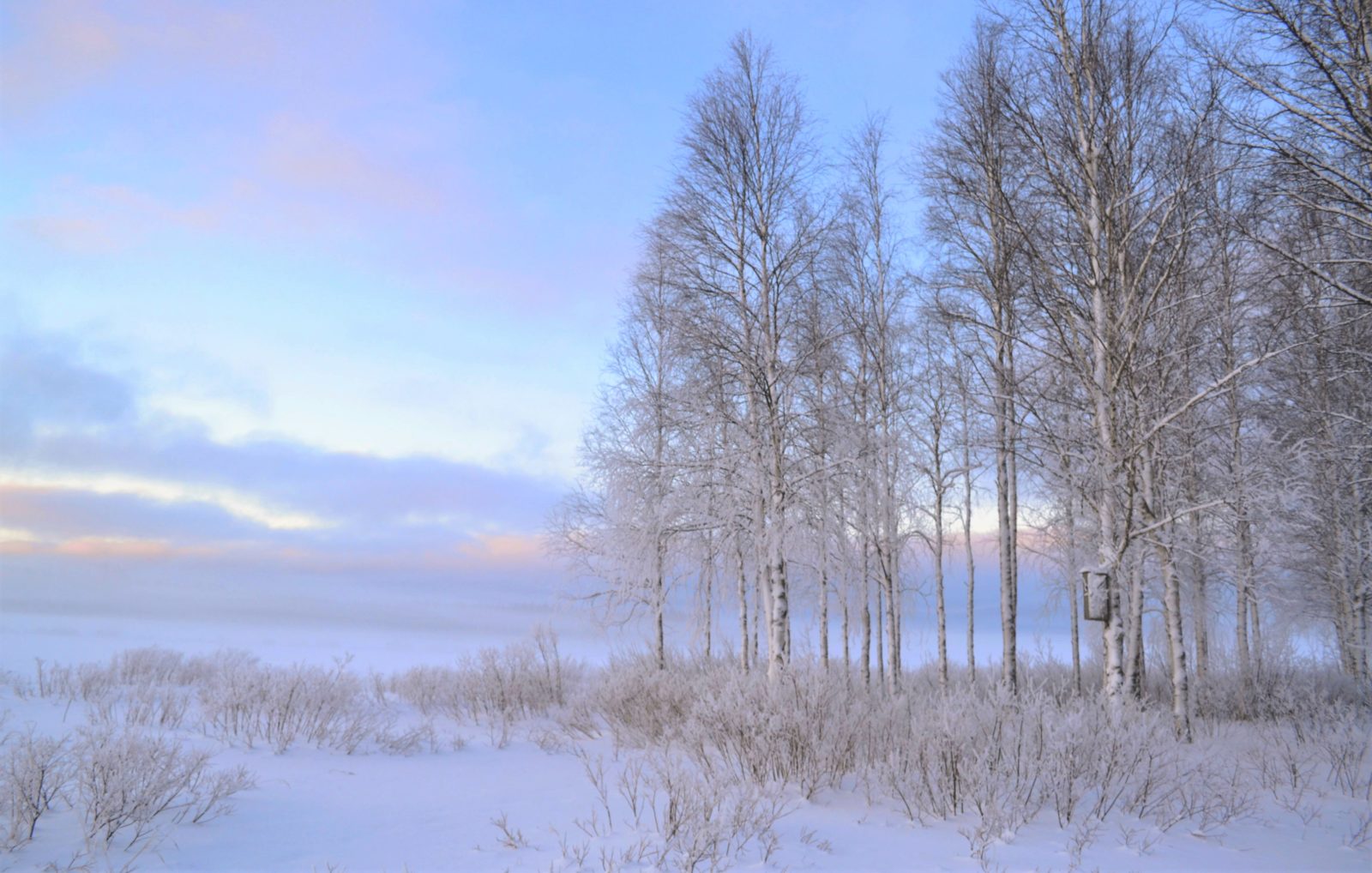 Valokuvaaja: Leena Rissanen