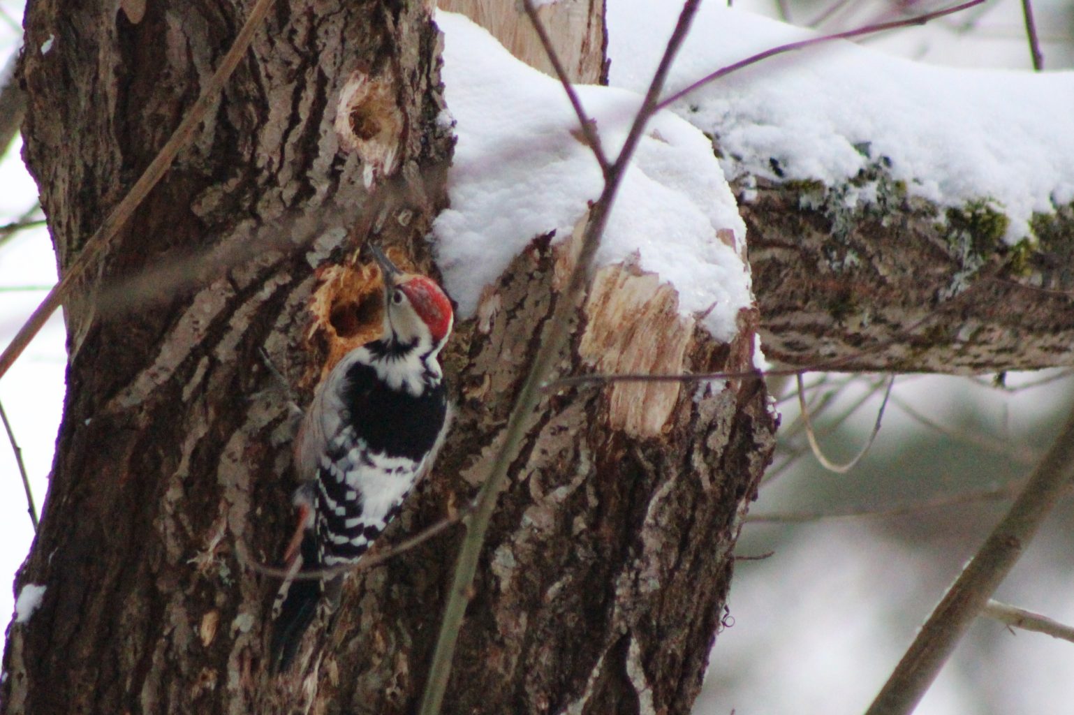 Valokuvaaja: Päivi Salonen
