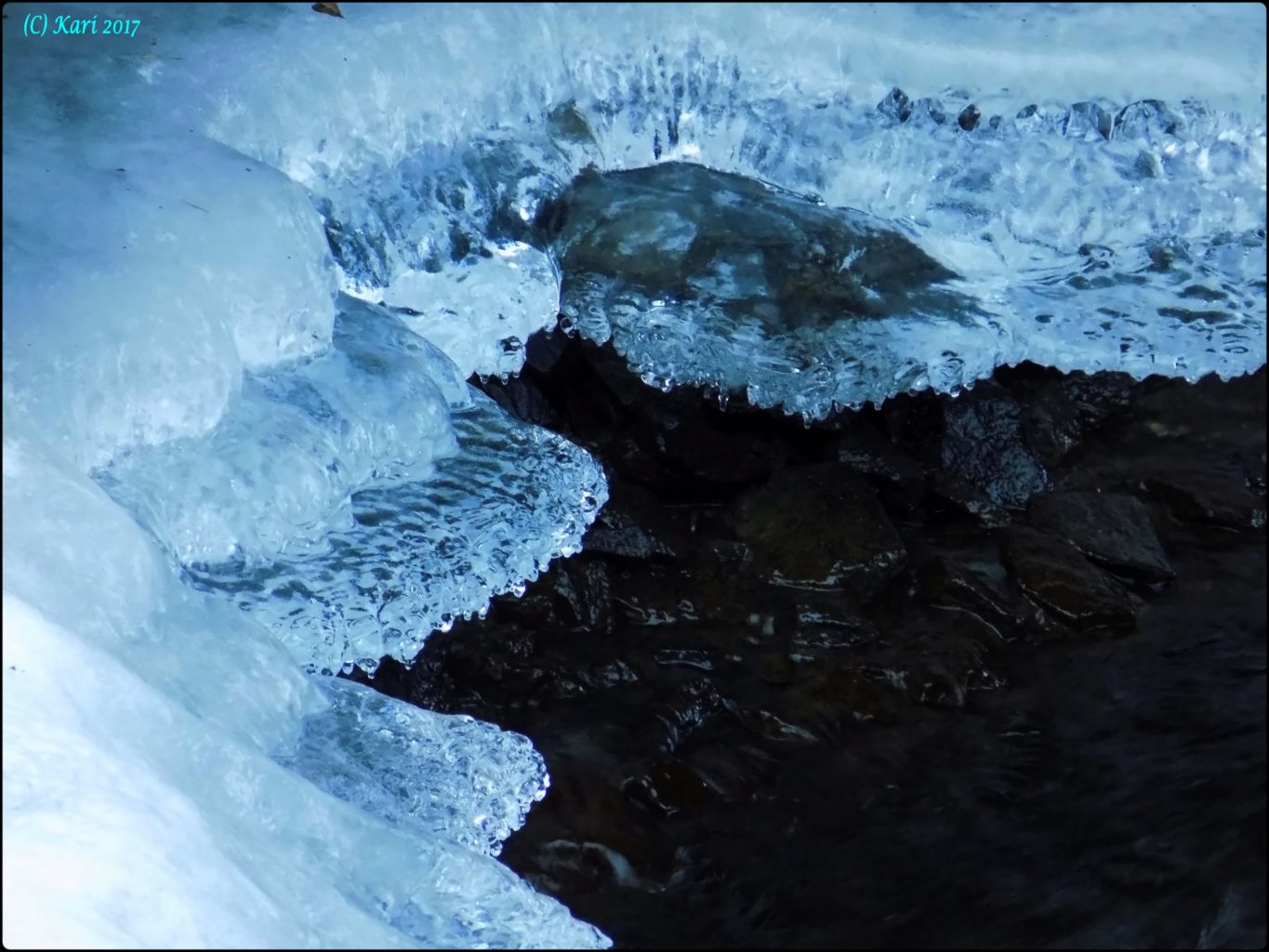 Valokuvaaja: Kari Saarinen