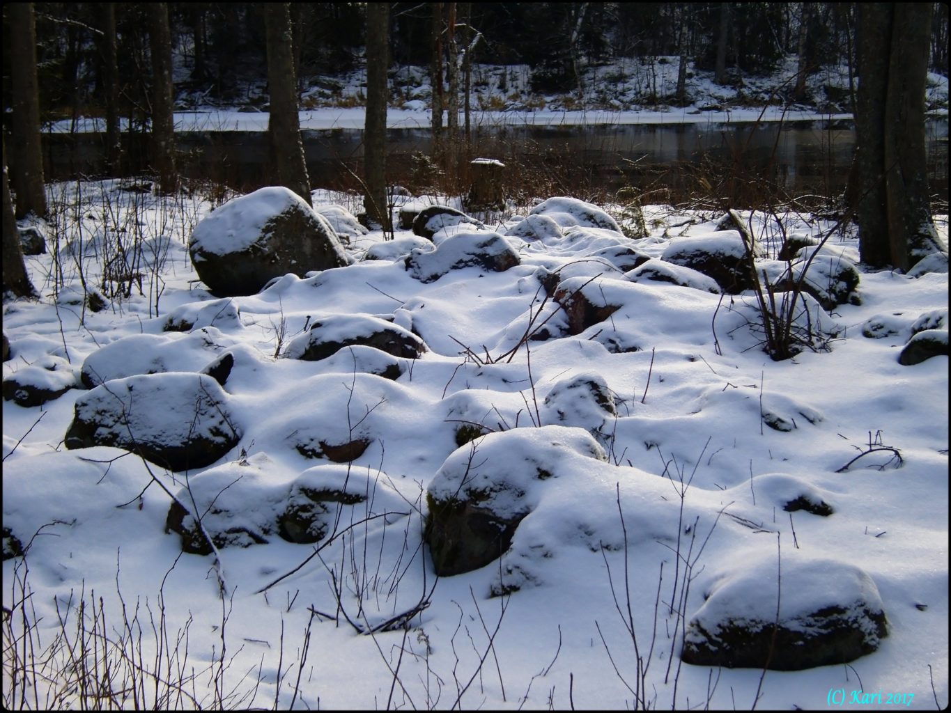 Valokuvaaja: Kari Saarinen