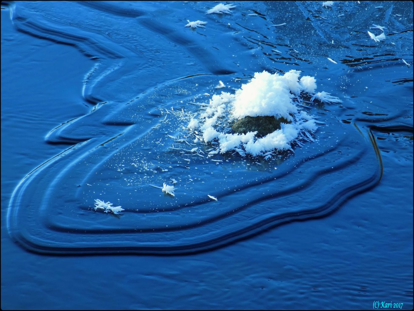 Valokuvaaja: Kari Saarinen Valokuvaaja: Kari Saarinen