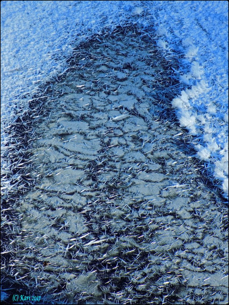 Valokuvaaja: Kari Saarinen