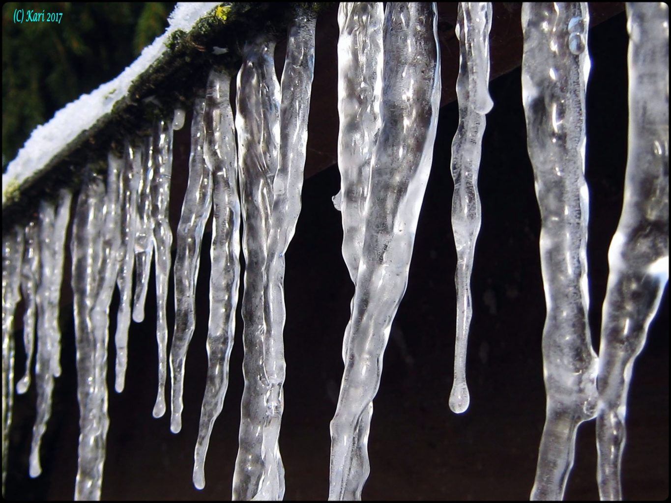 Valokuvaaja: Kari Saarinen