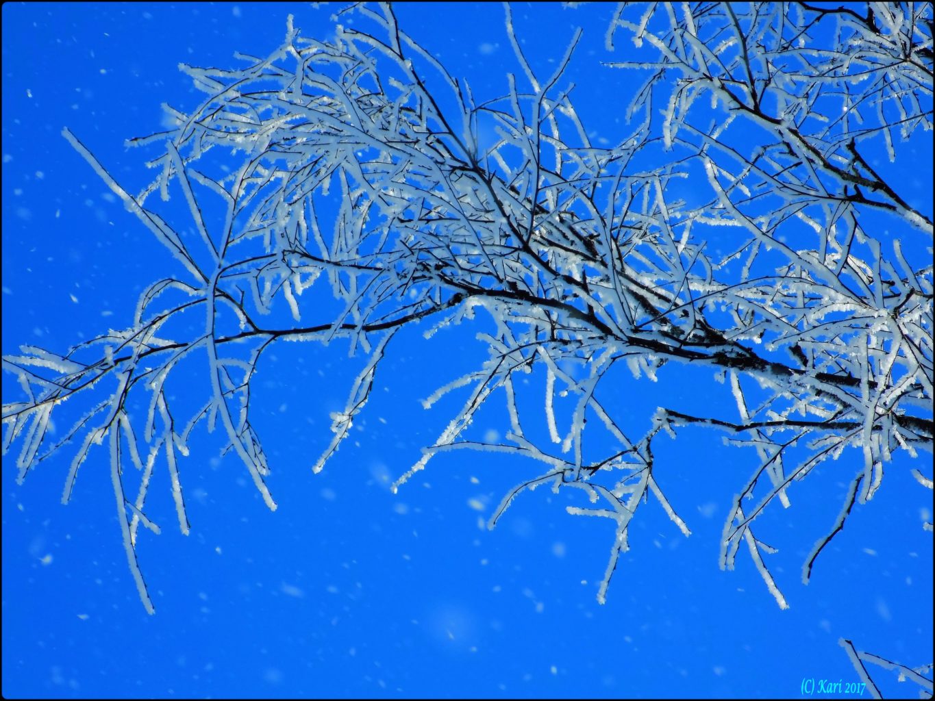 Valokuvaaja: Kari Saarinen