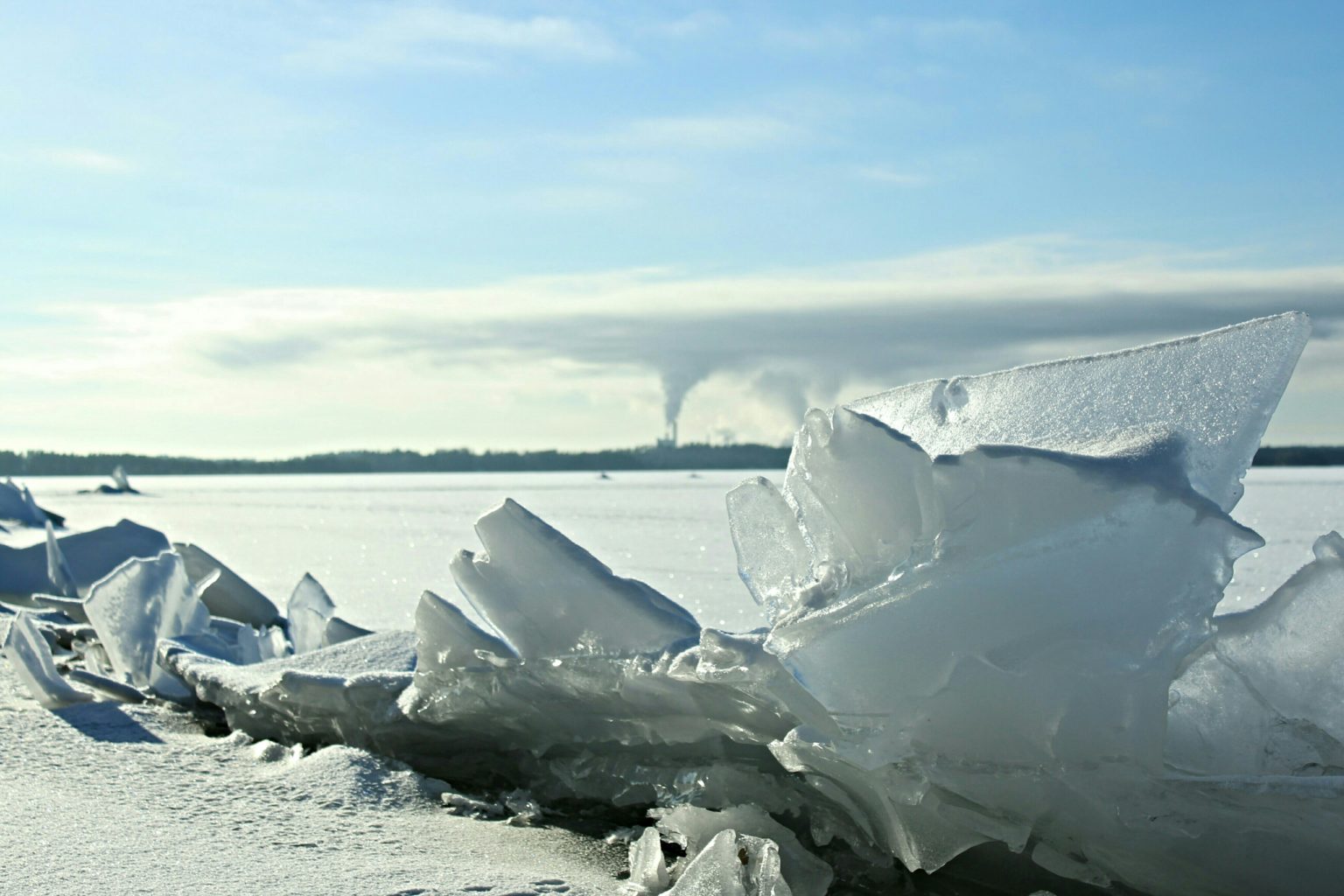 Valokuvaaja: Miia Pesu