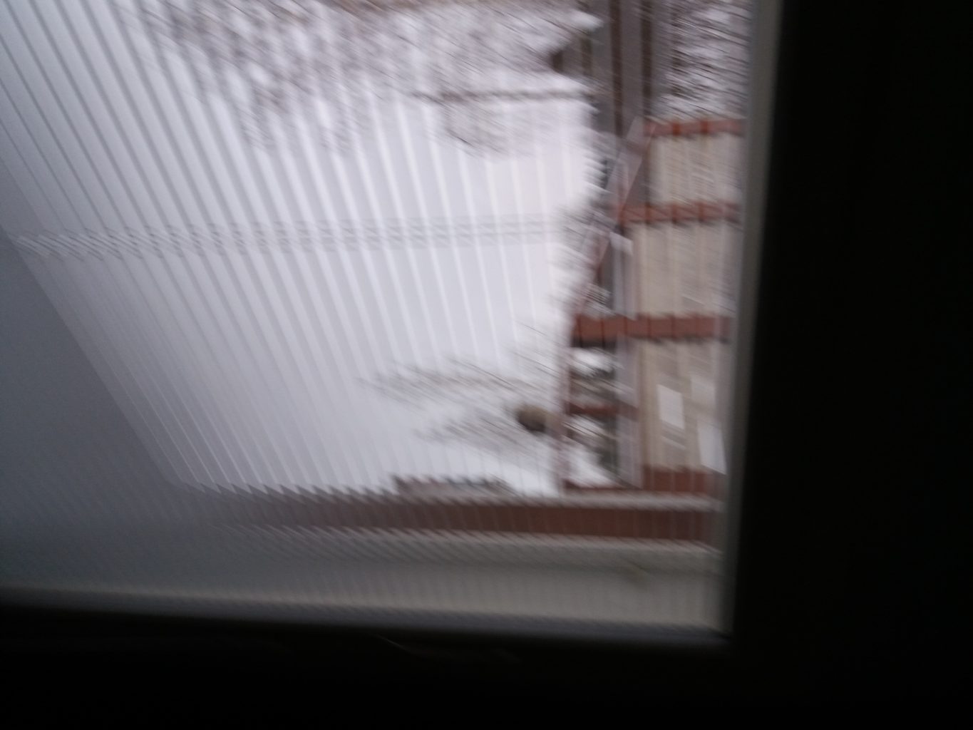 Valokuvaaja: Eija Johanna Saastamoinen