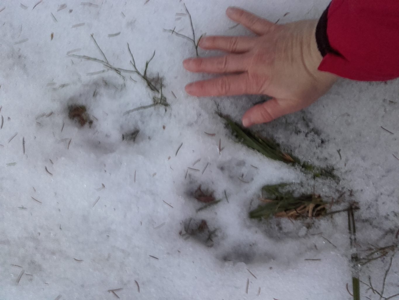 Valokuvaaja: Heli Haapakoski