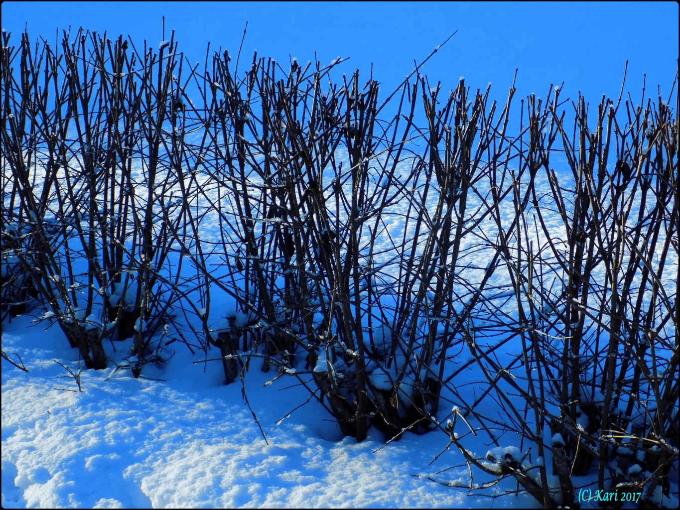 Valokuvaaja: Kari Saarinen