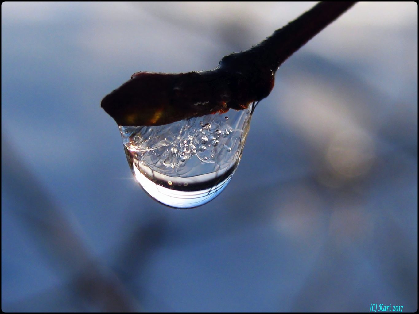 Valokuvaaja: Kari Saarinen