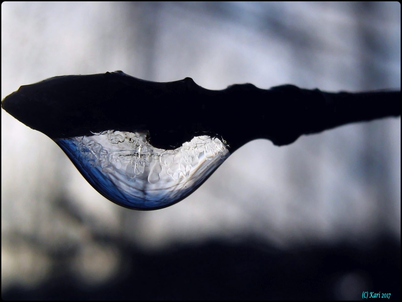 Valokuvaaja: Kari Saarinen