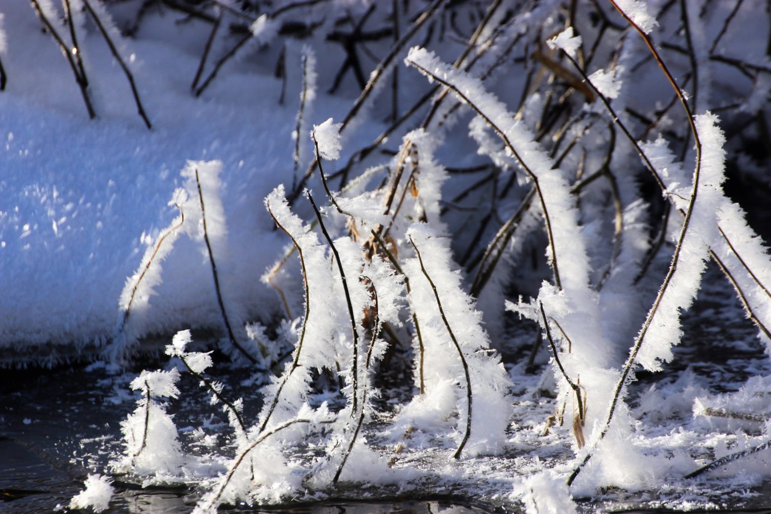Valokuvaaja: Irja Lehtinen