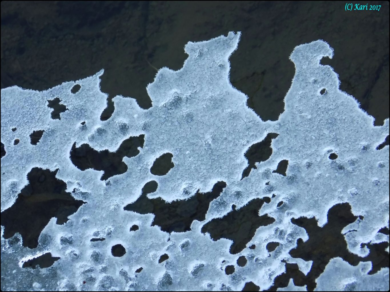 Valokuvaaja: Kari Saarinen