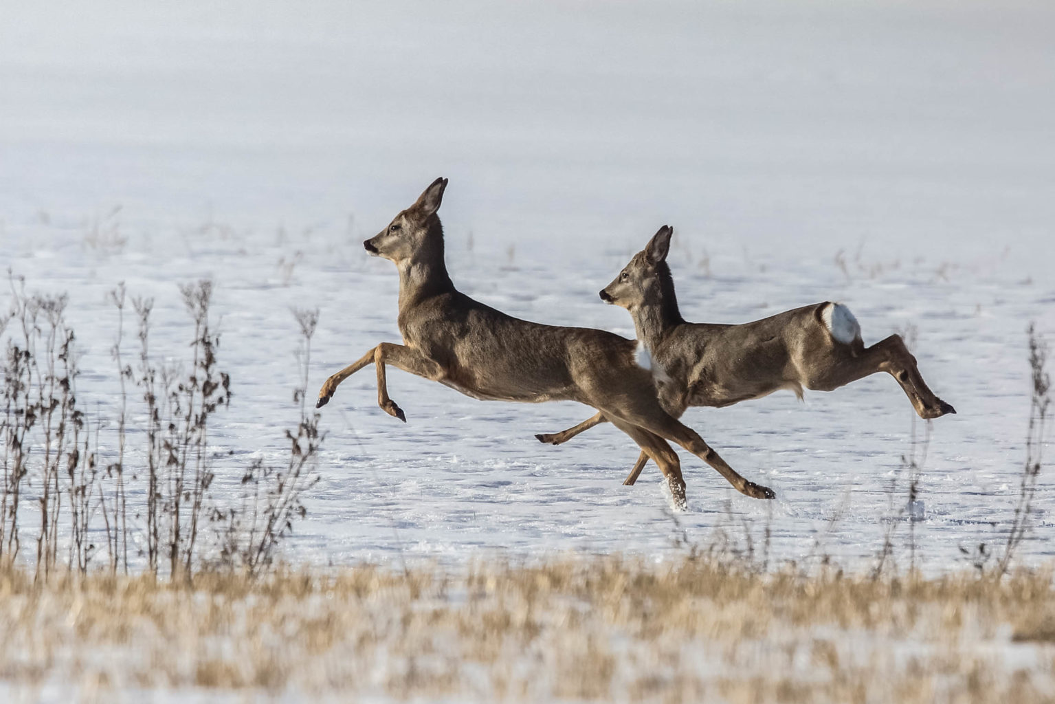 Valokuvaaja: Markku Salonen