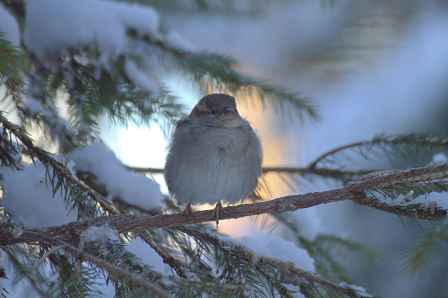 Valokuvaaja: Sirpa Jyske