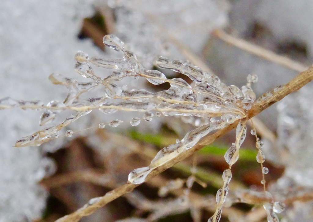 Valokuvaaja: Liisa Niiva-Korpela Valokuvaaja: Liisa Niiva-Korpela