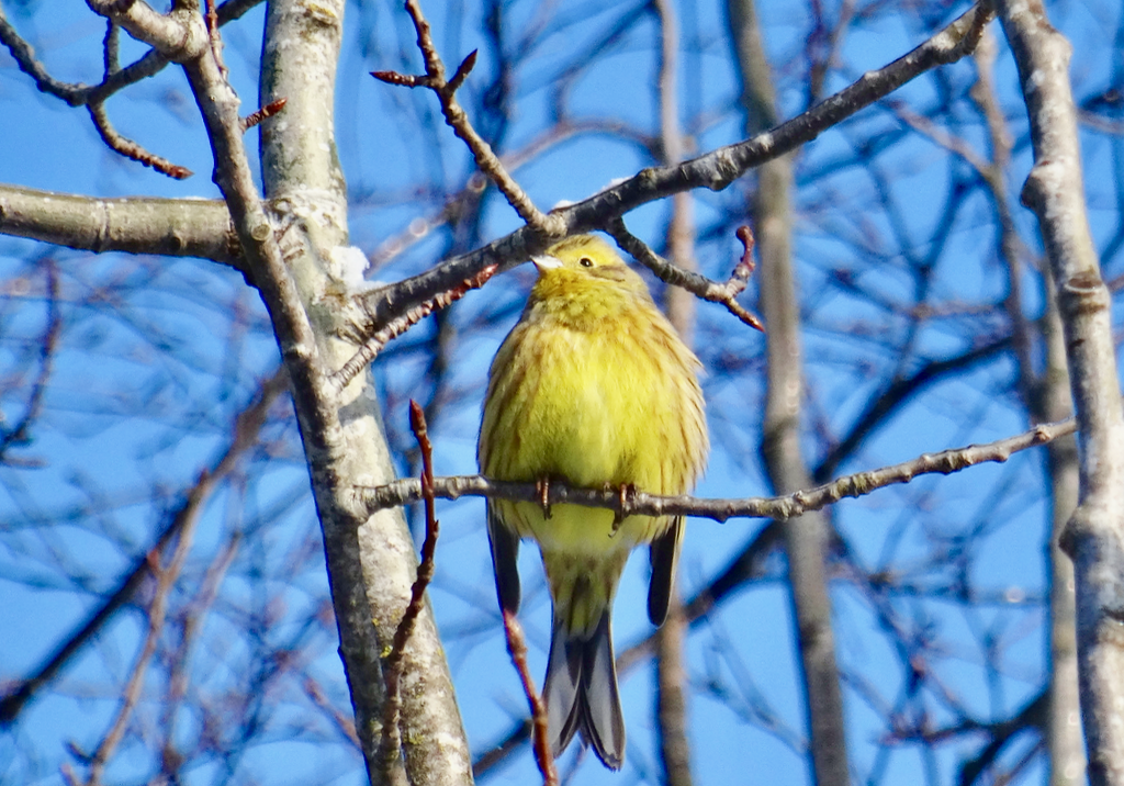 Valokuvaaja: Liisa Niiva-Korpela Valokuvaaja: Liisa Niiva-Korpela