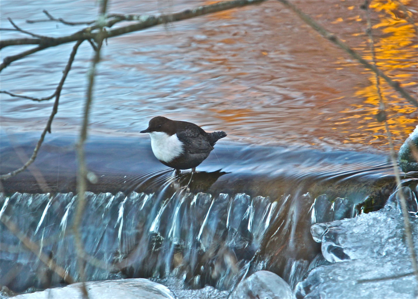 Valokuvaaja: Markku Ranta-Eilola