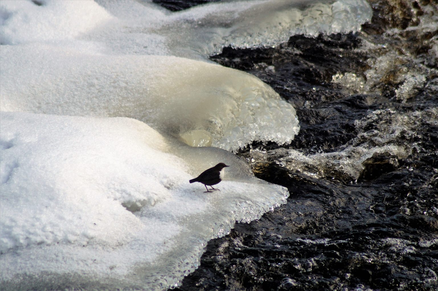 Valokuvaaja: Maarit Siitonen