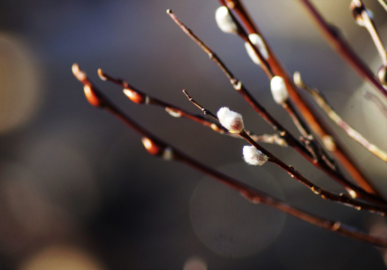 Valokuvaaja: Maarit Siitonen Valokuvaaja: Maarit Siitonen
