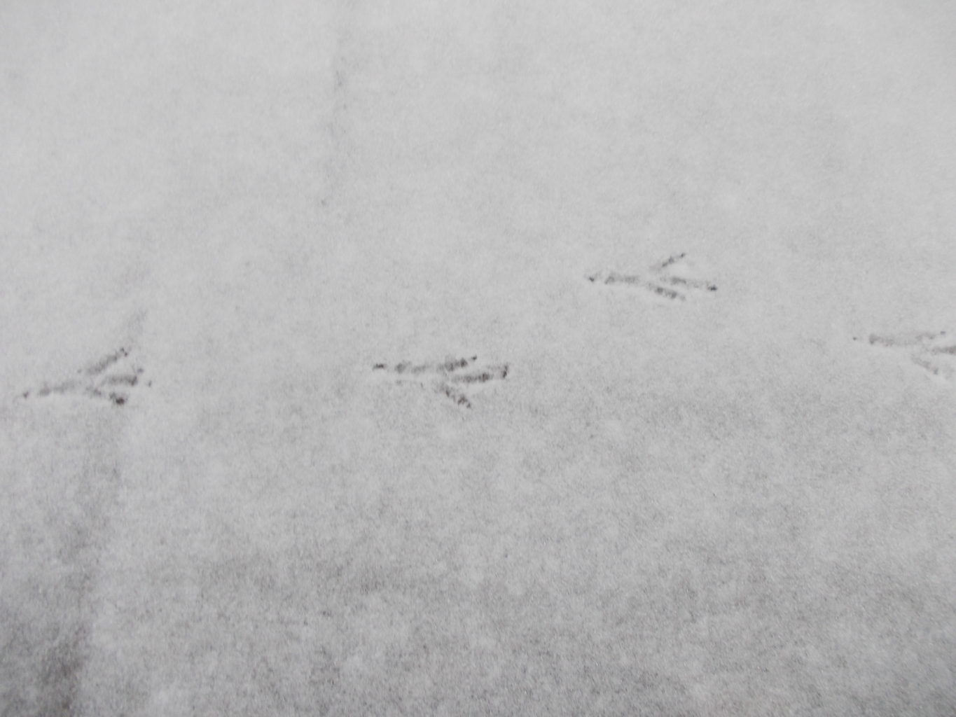 Valokuvaaja: Katja Ketola