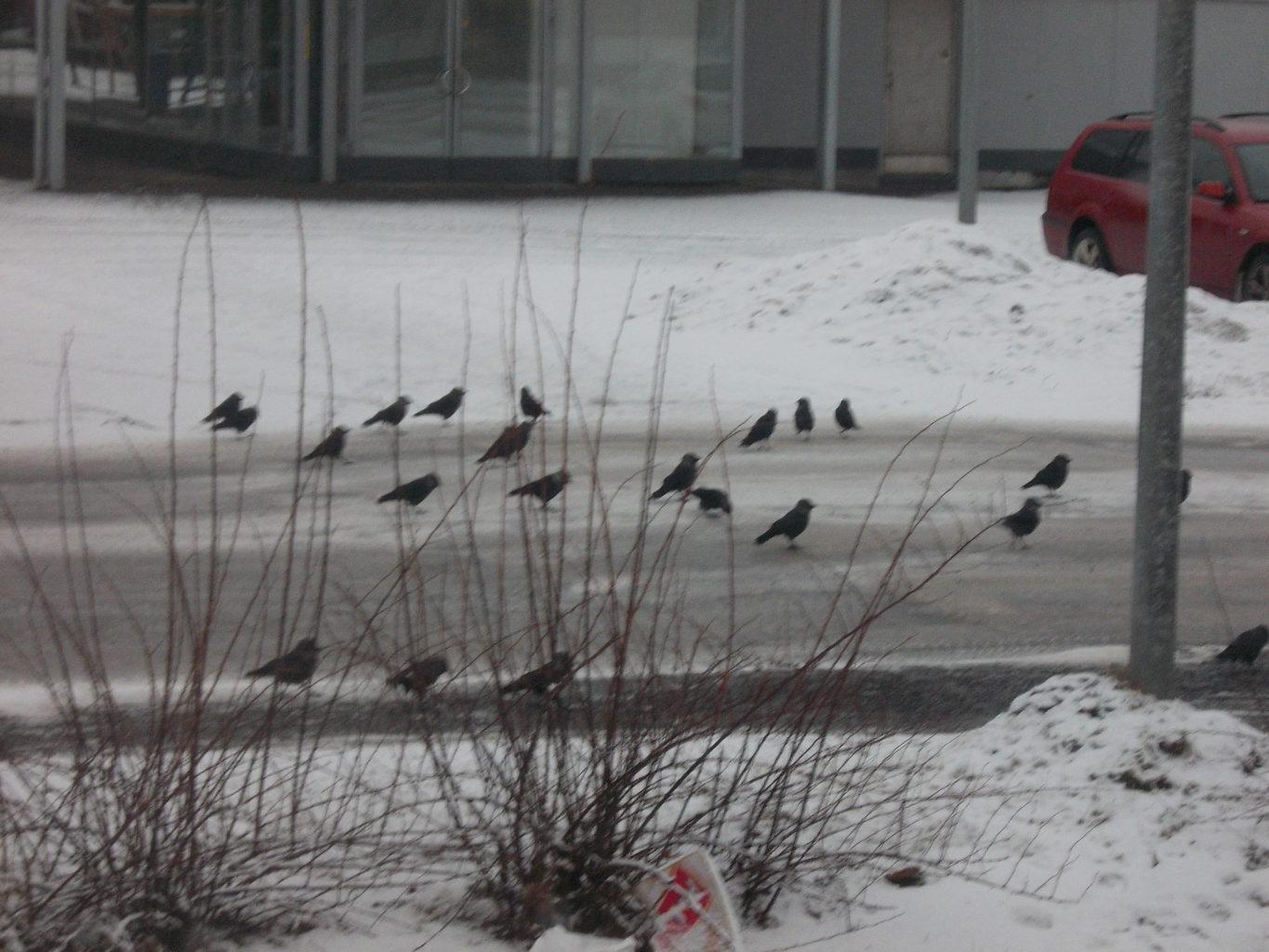 Valokuvaaja: Katja Ketola