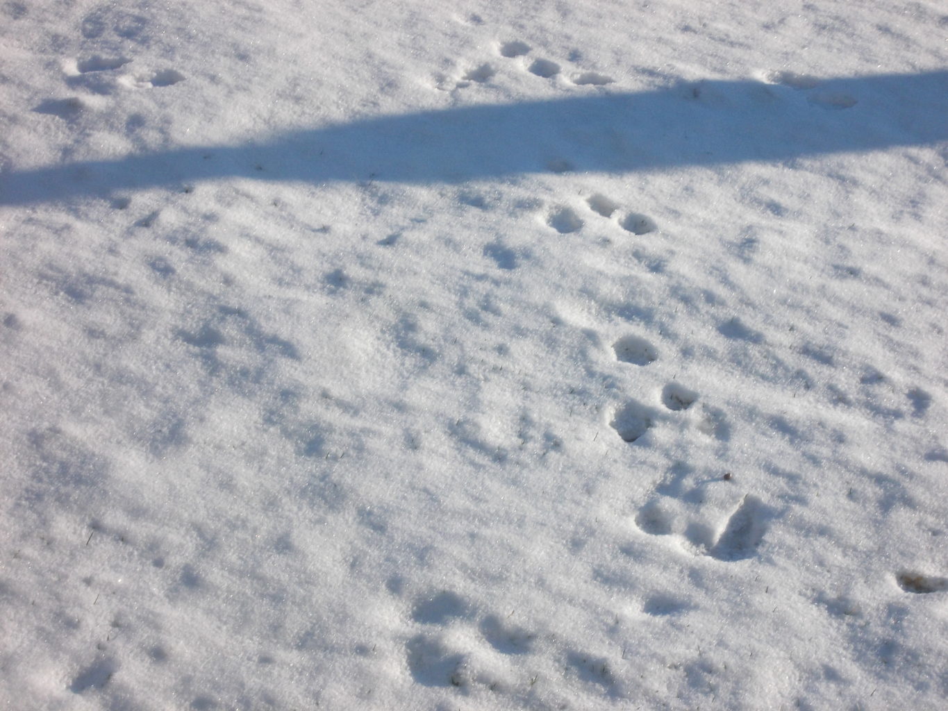 Valokuvaaja: Katja Ketola