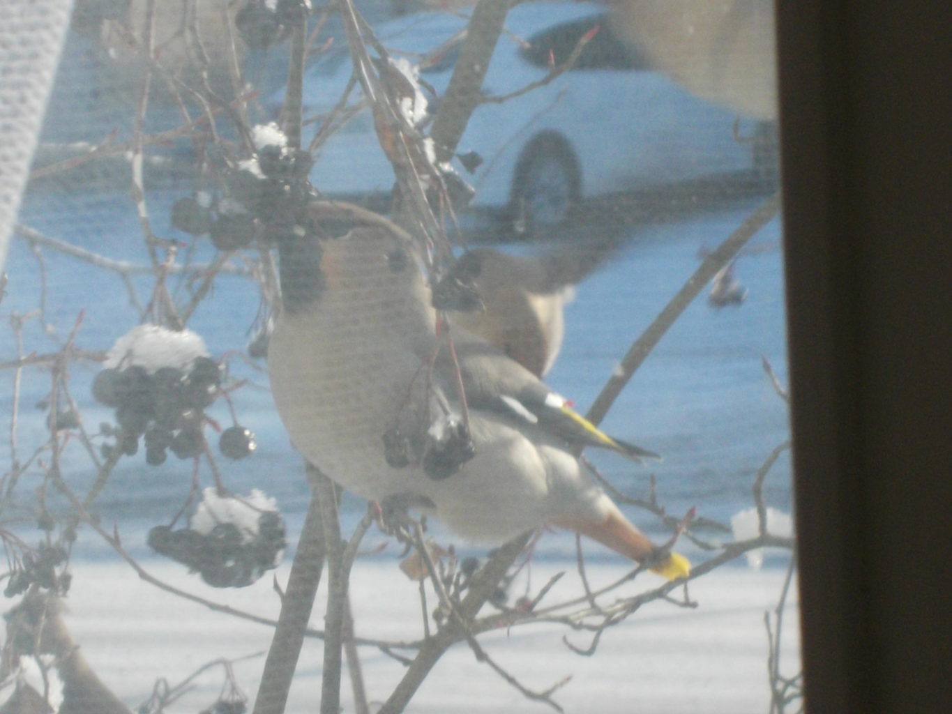 Valokuvaaja: Katja Ketola Valokuvaaja: Katja Ketola