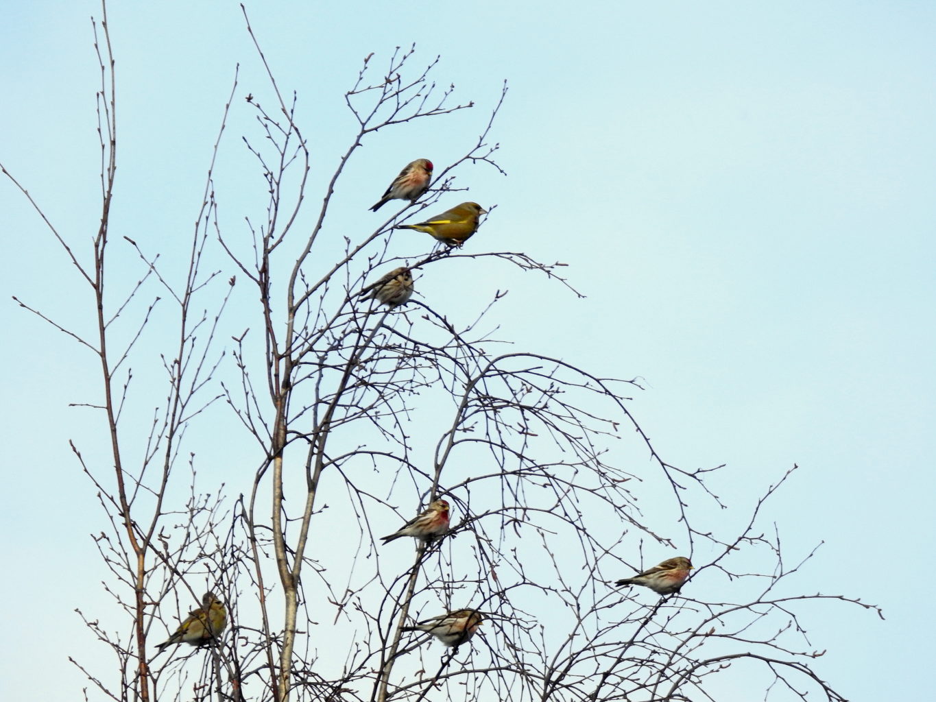 Valokuvaaja: Kari Pirttilä