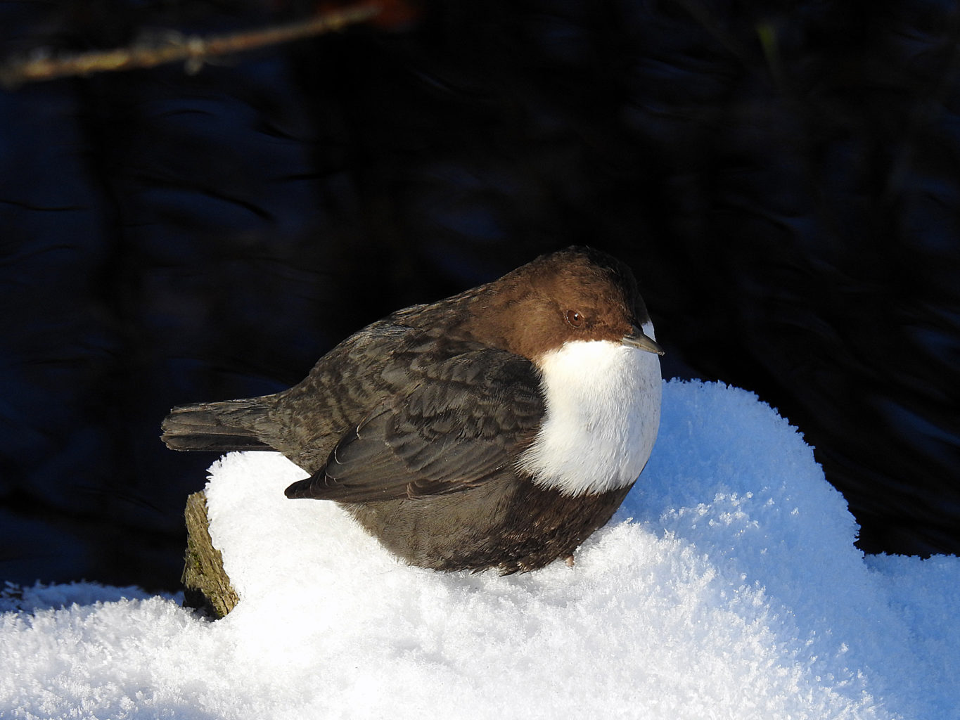 Valokuvaaja: Paavo Siukonen