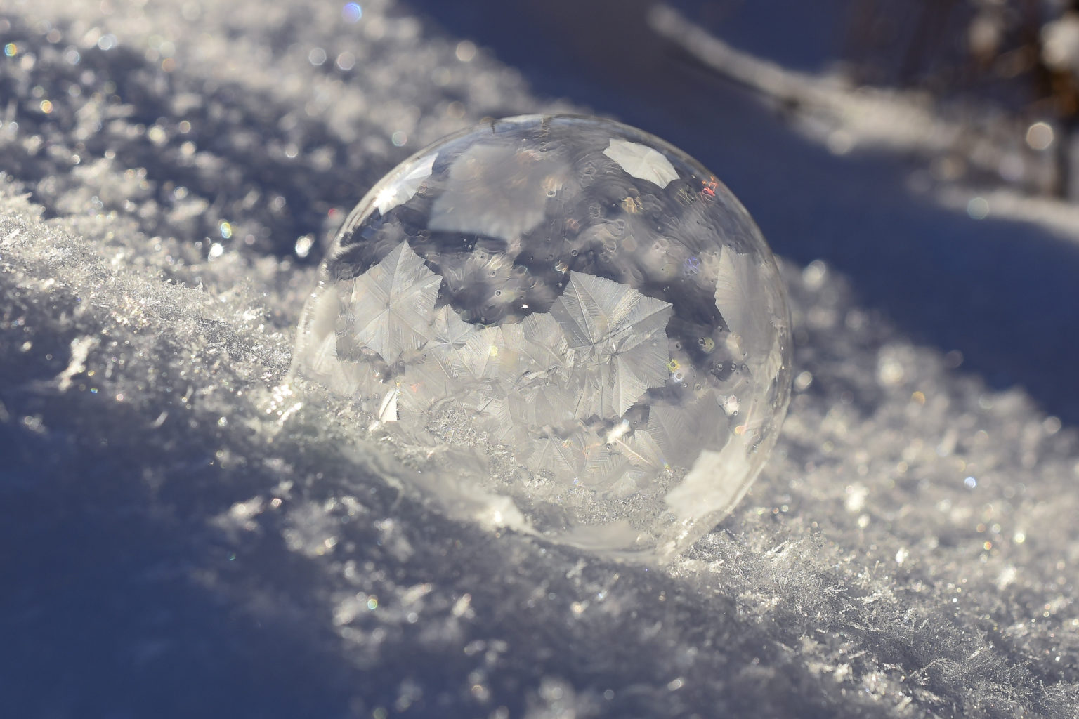 Valokuvaaja: Maija Savolainen